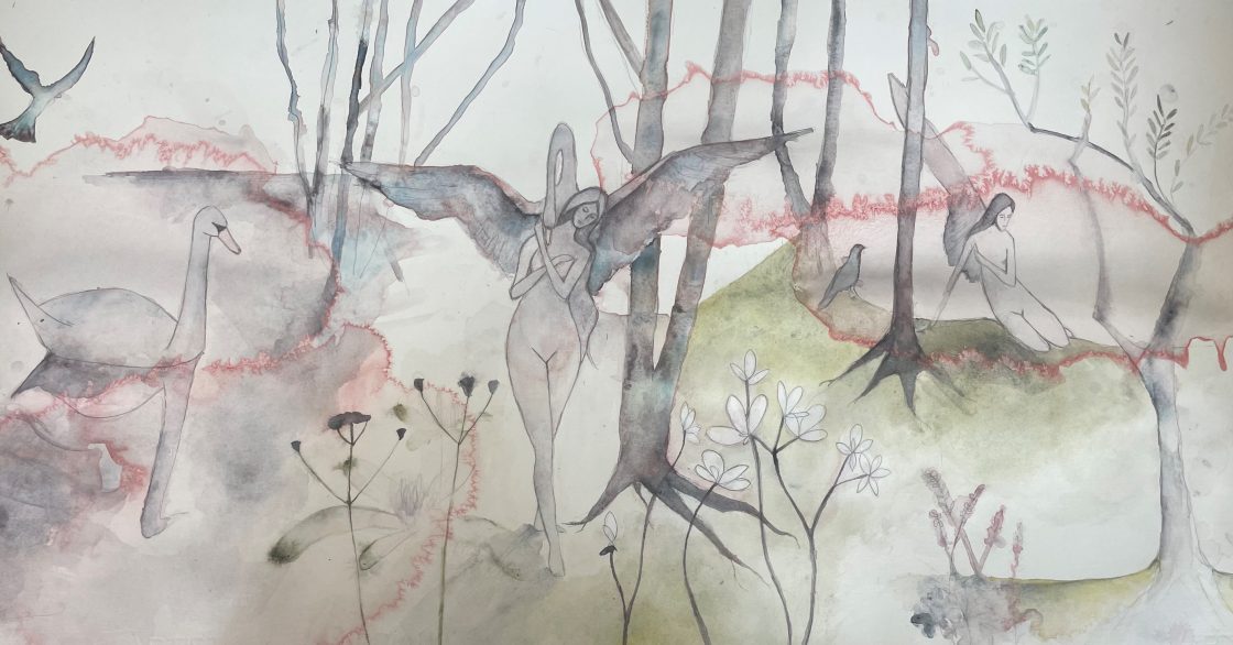 Artwork by Rachel Shaw