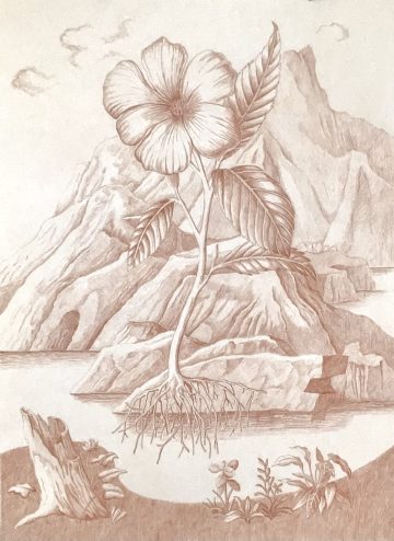 Drawing by Roger Towndrow