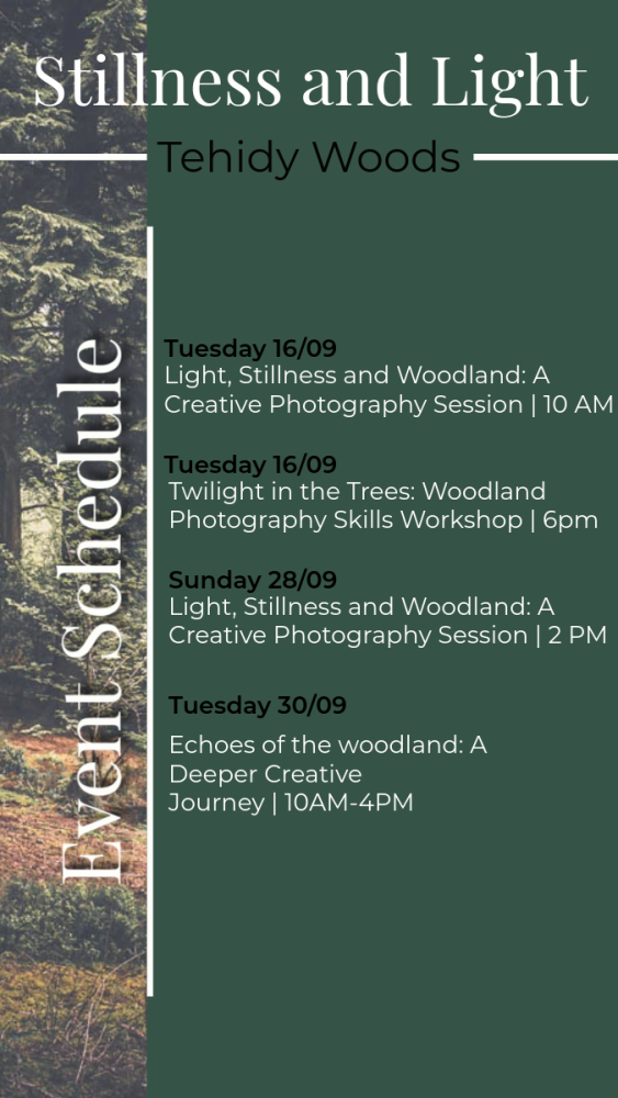 Tehidy Artists Residency Event Schedule